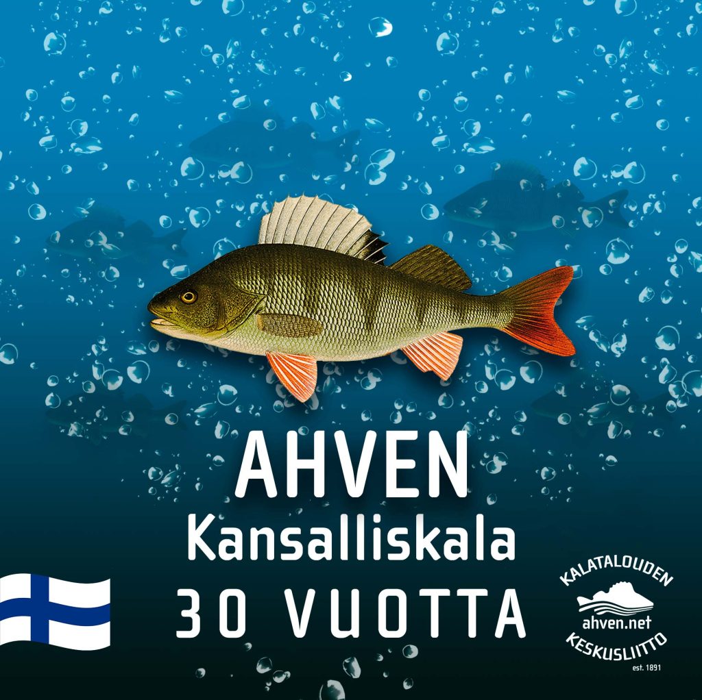 Suomen kansalliskala ahven täyttää 30 vuotta Suomen kansalliskala ahven täyttää 30 vuotta